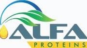 logo41